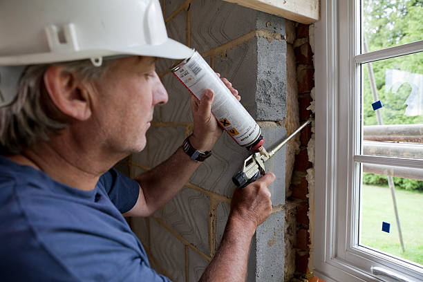 Best Spray Foam Insulation  in Robie Creek, ID